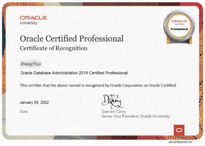 ORACLE OCA+OCP認證培訓 開啟專業(yè)數(shù)據(jù)庫管理職業(yè)生涯