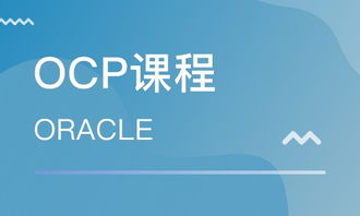 青島Oracle認(rèn)證培訓(xùn)指南 OCP培訓(xùn)班選擇與排名解析