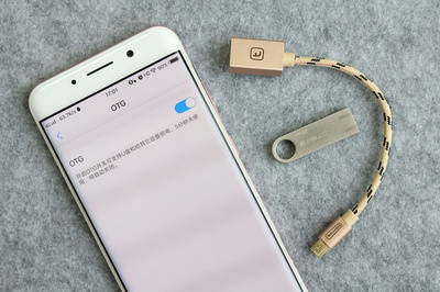 手機不支持插存儲卡？不怕，有OTG線的“優美”幫忙